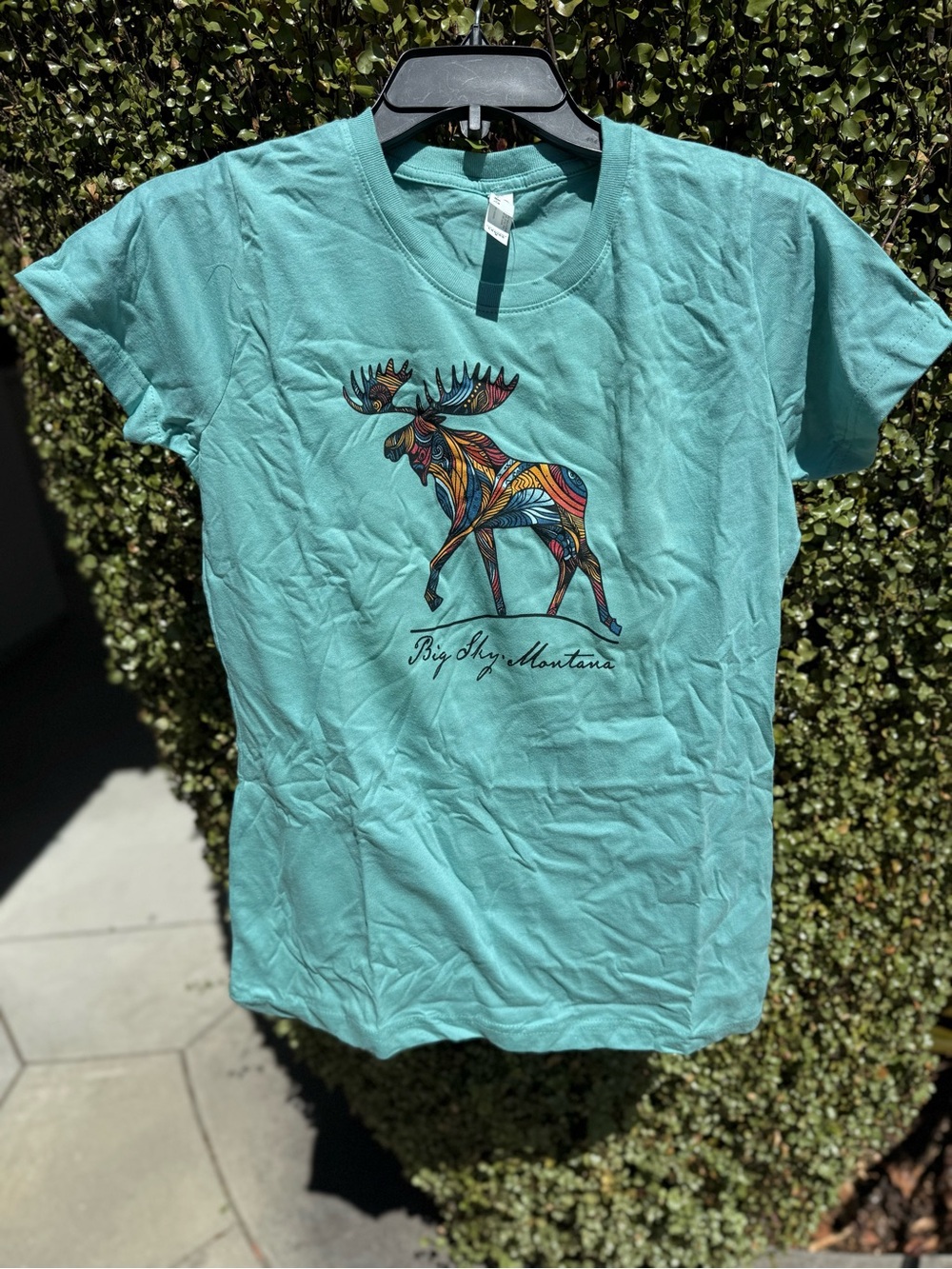 Big Sky, Montana Moose Graphic Tee